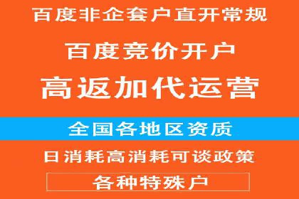 谷歌竞价案例：成功案例分析及启示
